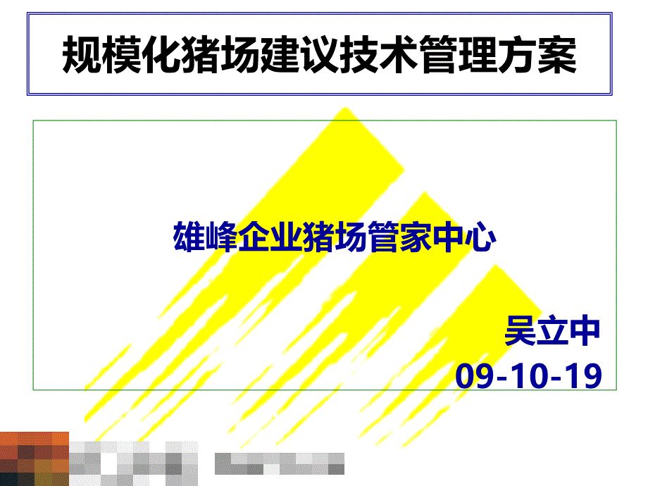 畜牧兽医规模化猪场建议保健方案_第1页