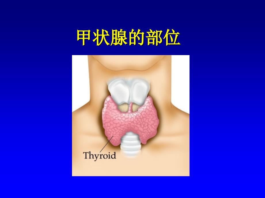 甲状腺机能亢进症（hyperthyroidism）上海交通大学医学院_第2页