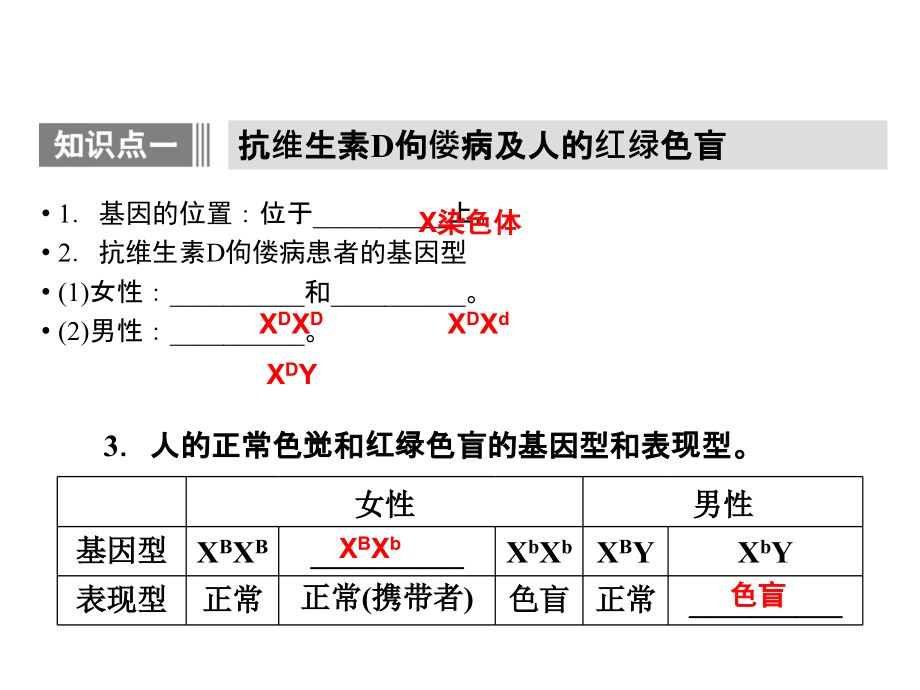 高二生物(人教版)伴性遗传_第4页