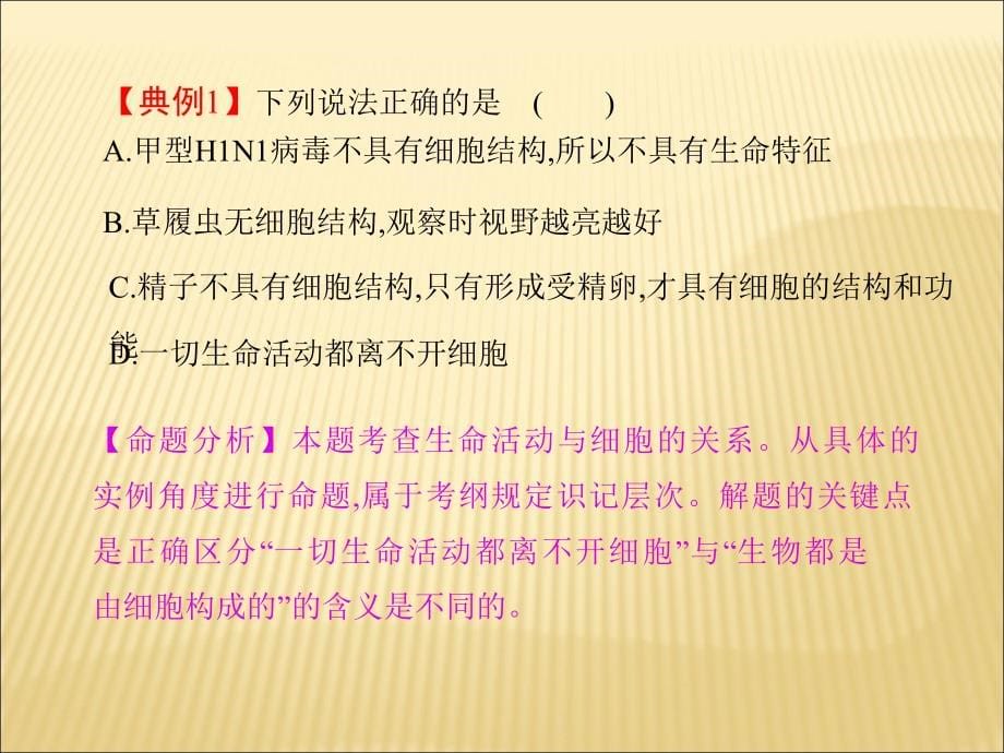 高考生物精品提分必备专题课件 专题一细胞的分子组成_第5页