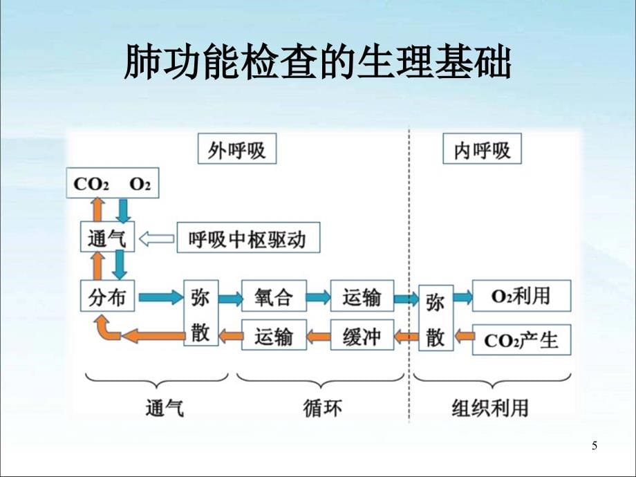 【5A版】肺功能检查及临床应用_第5页