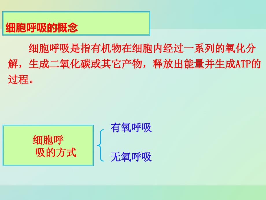 高中生物人教版必修1同课异构课件：5.3.1 探究酵母菌细胞呼吸的方式（2）_第2页