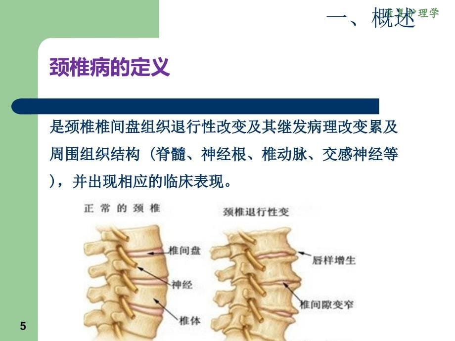 康复护理学颈椎病讲述_第5页