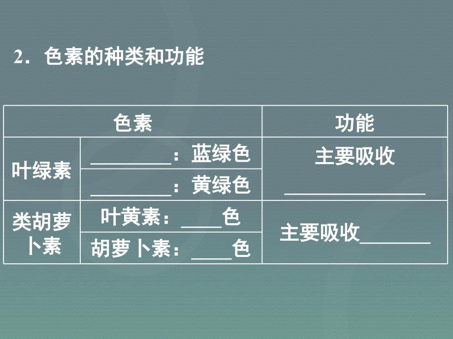 2016届高考生物一轮复习能量之源光与光合作用_第3页