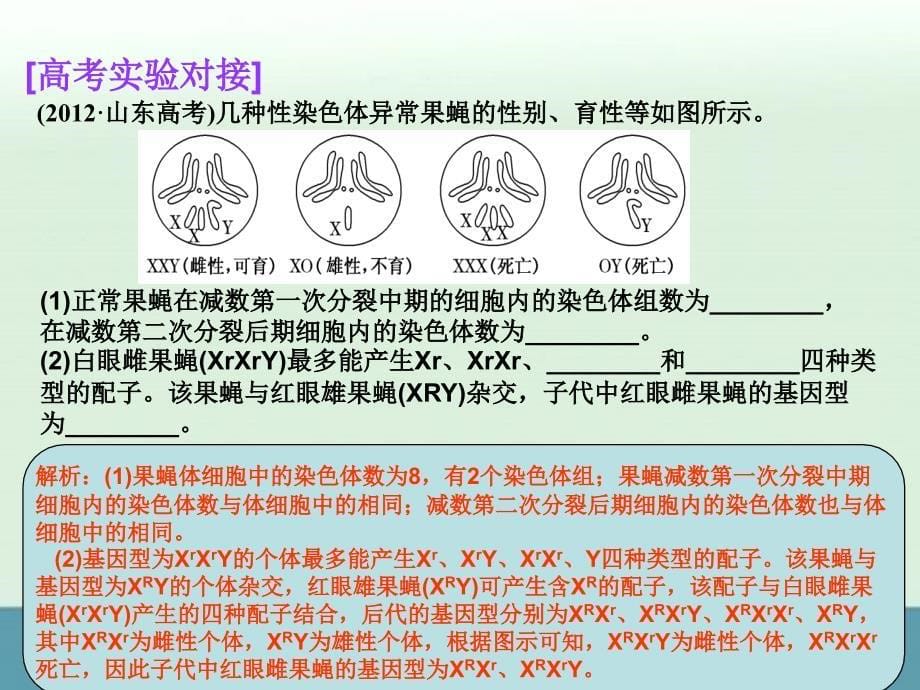 2015届高考生物一轮考点专题课件：《生物变异成因的探究》_第5页