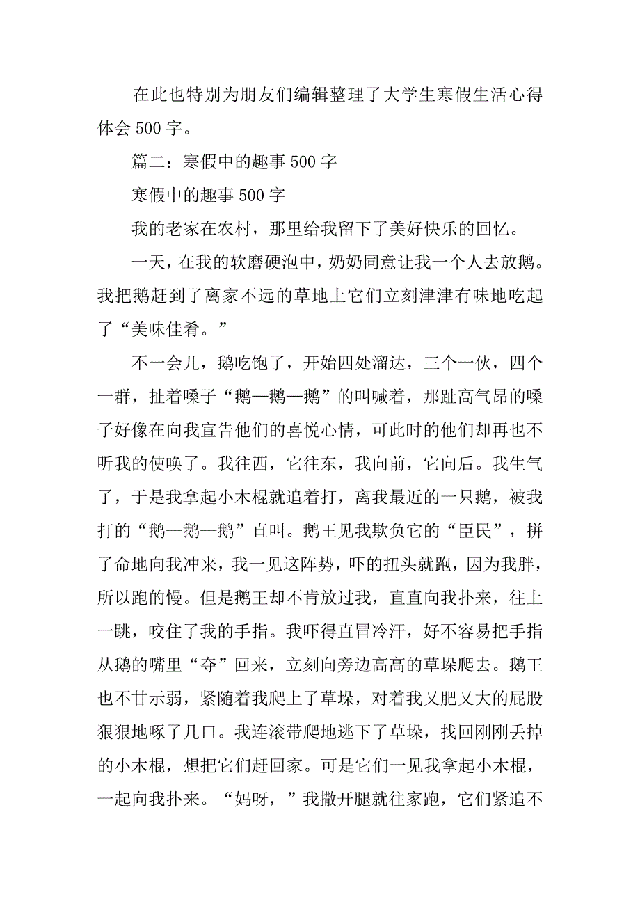 寒假总结500字严肃_第4页
