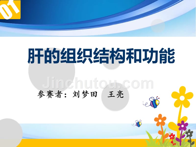 【5A版】肝的组织结构和功能_第1页