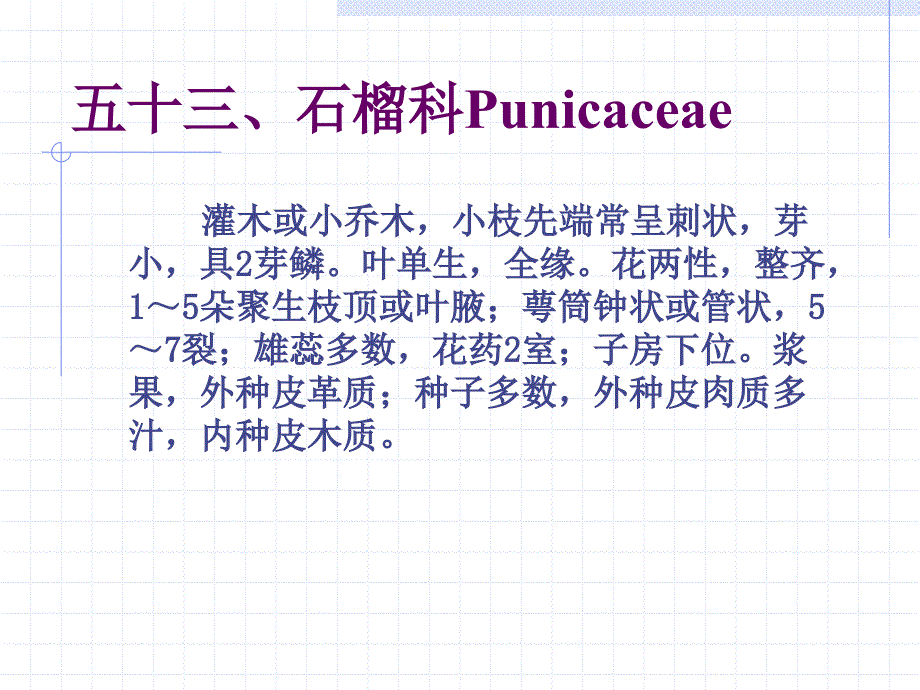 石榴科punicacea_第1页