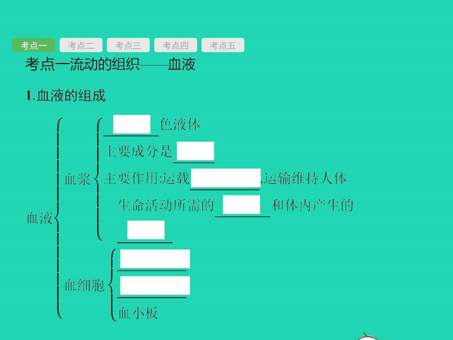 中考生物 第四单元 生物圈中的人 第11讲 人体内物质的运输及废物的排出课件_第4页