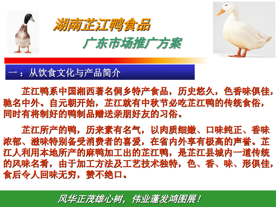 芷江鸭广东市场推广_第2页