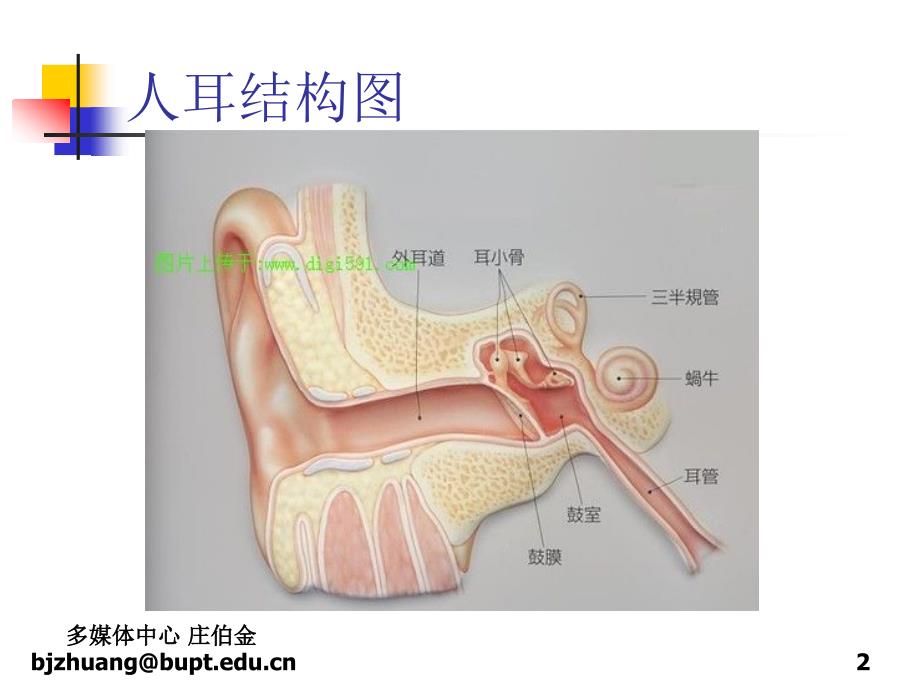 音频数据压缩编码_第2页