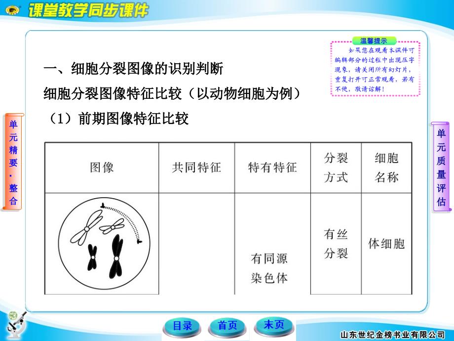 高中生物基因和染色体的关系人教版必修_第3页