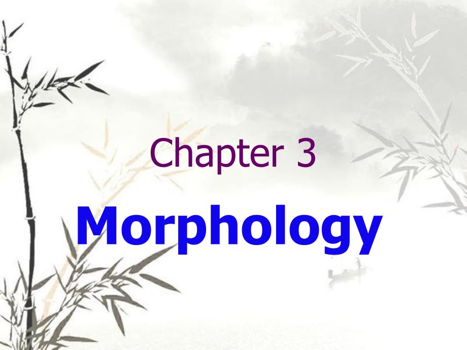 chapter3morphology形态学_第3页