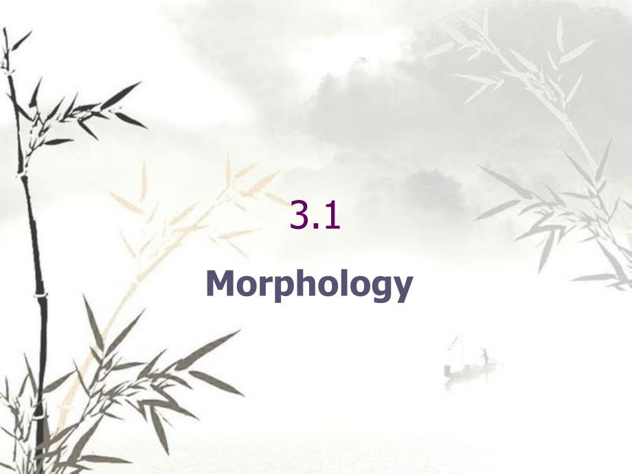 chapter3morphology形态学_第4页
