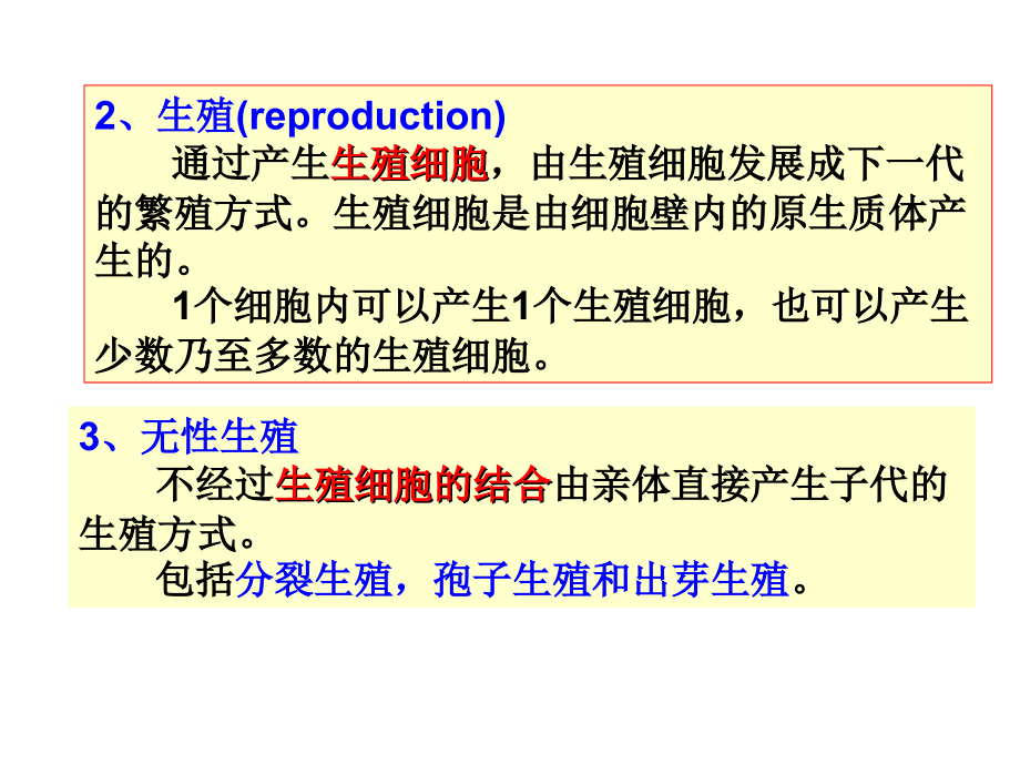 药用植物学课件——低等植物_第3页