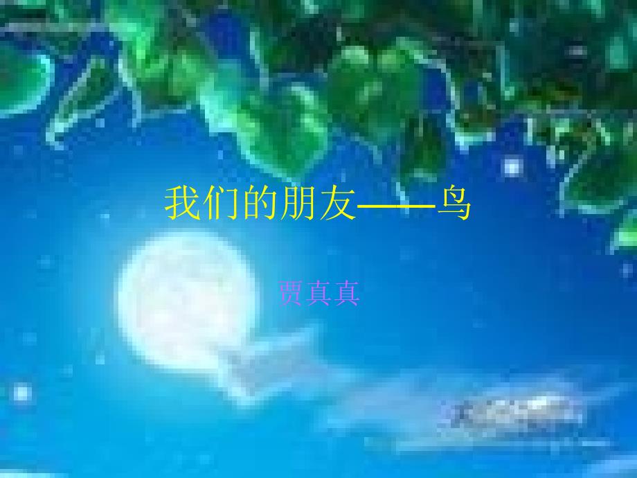我们的朋友鸟_第1页