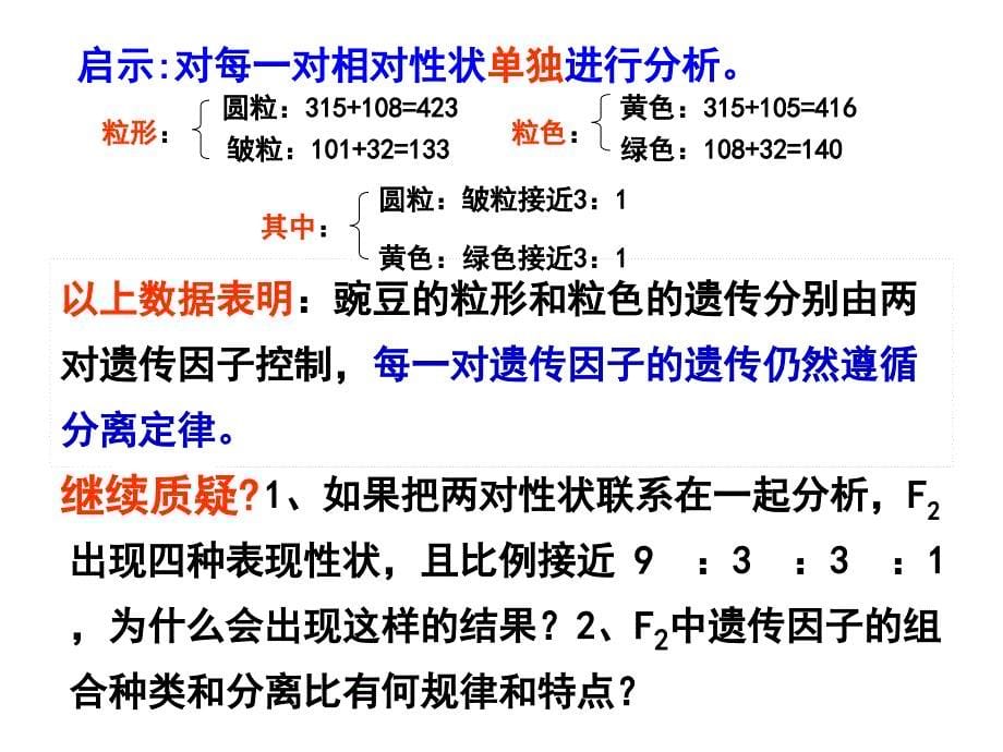 高一生物必修二第二节孟德尔豌豆杂交实验二_第5页