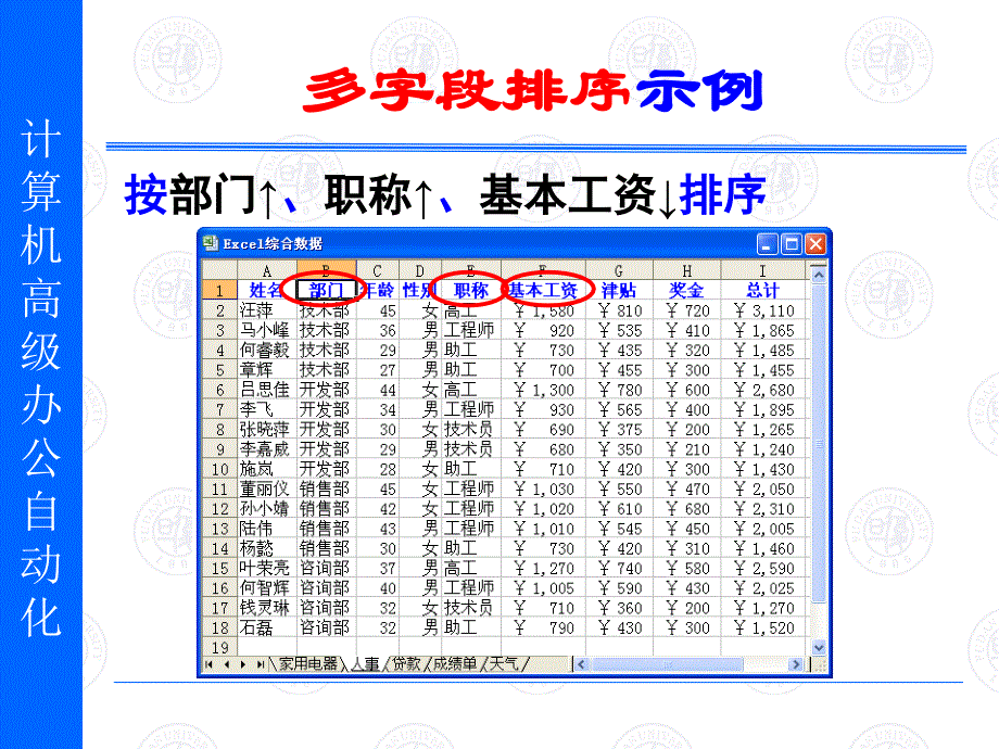 第9讲 excel数据管理(一)_第4页