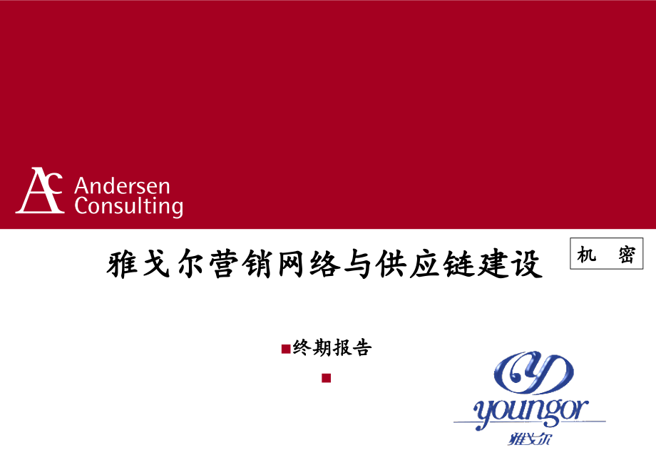 雅戈尔营销网络与供应链建设最终报告_第1页