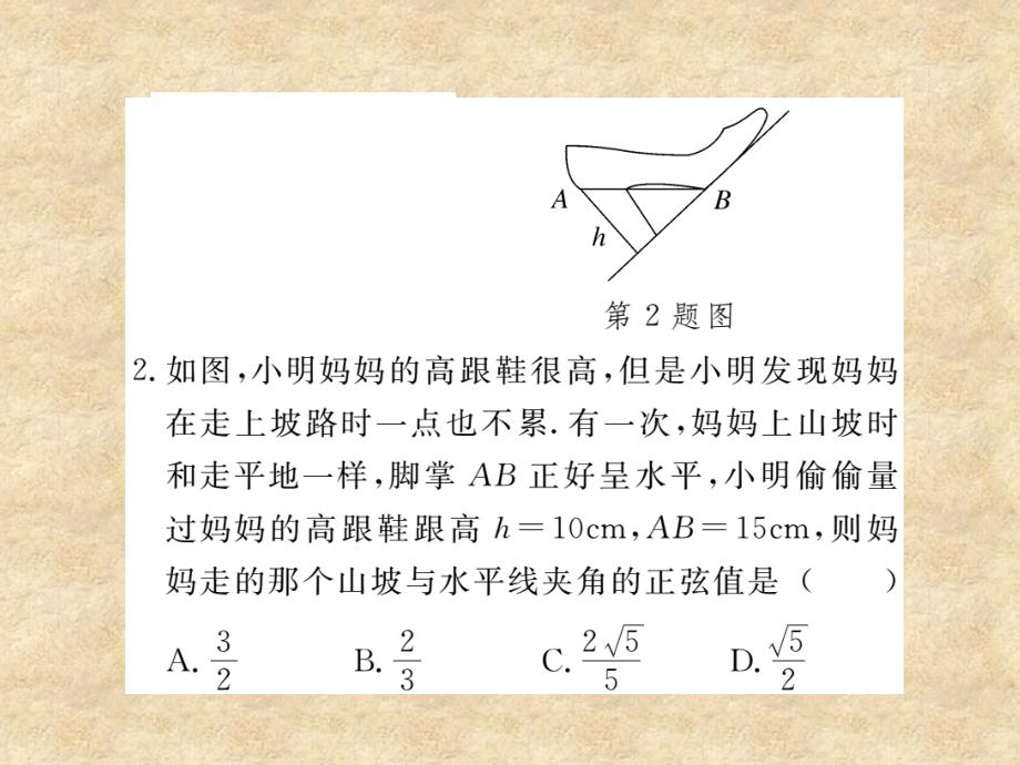 北师大版九年级数学下册练习课件：1.1 第2课时 正弦与余弦_第4页