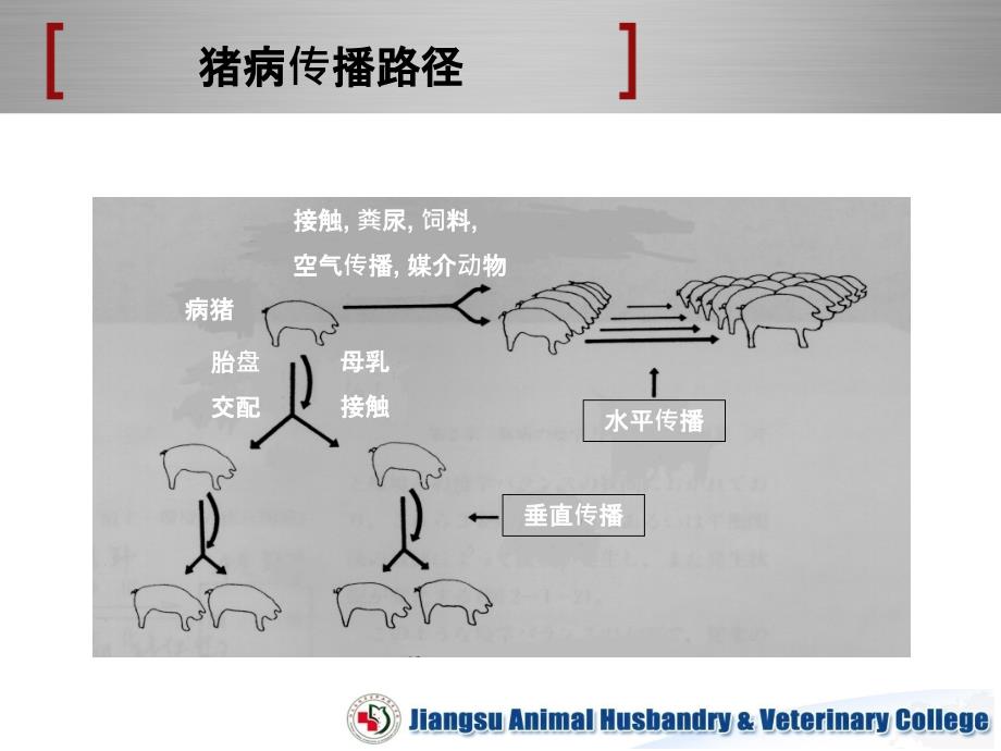 《猪场消毒与防疫》ppt课件_第4页