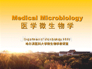 狂犬病病毒 - 医学微生物学