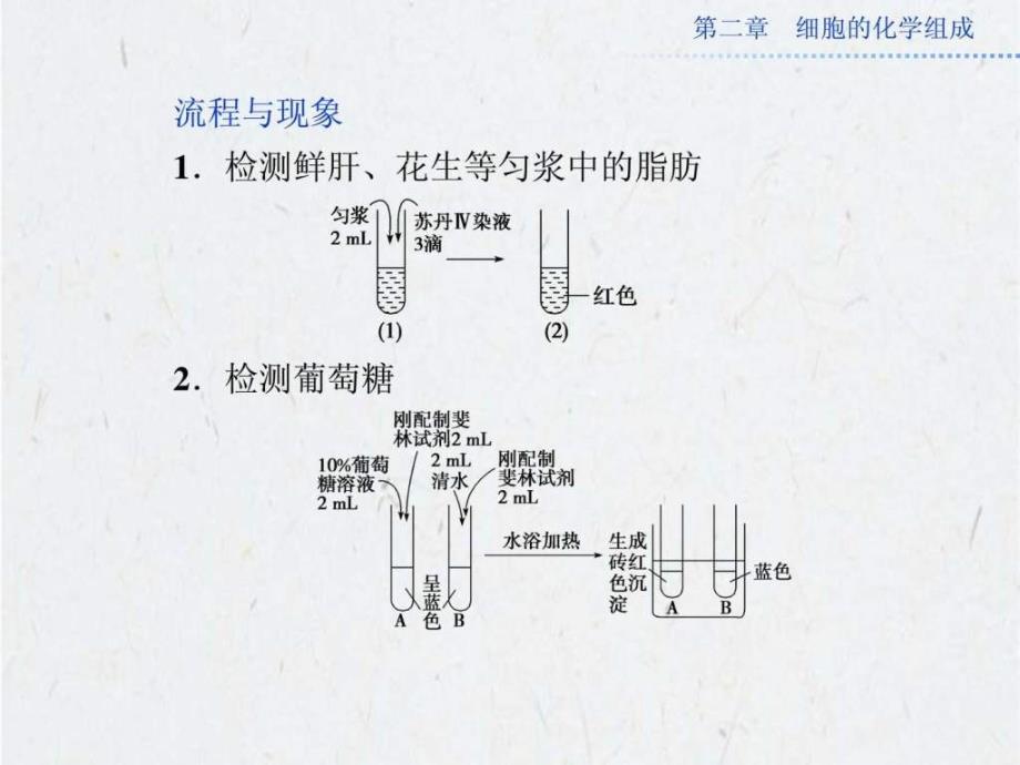 实验 检测生物组织中的脂肪、还原性糖_第3页