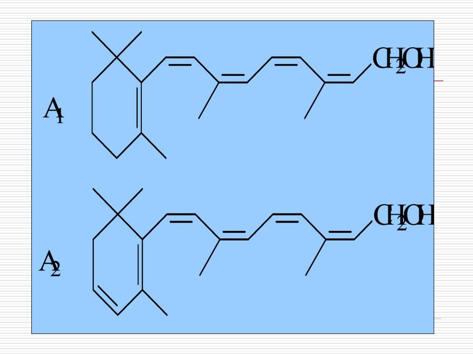 生物化学（王金福）维生素和辅酶_第4页