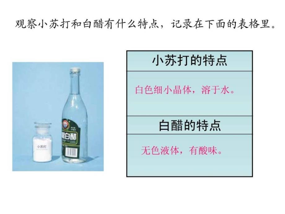 教科版科学六年级下册《小苏打和白醋的变化》_图_第2页