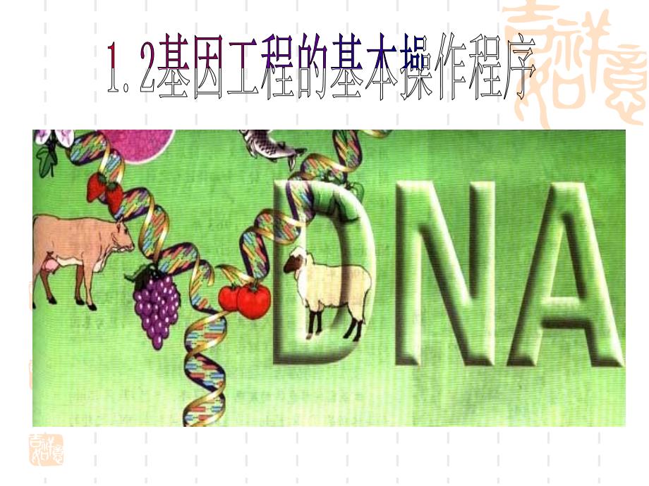 高中生物选修三  基因工程的基本操作程序_第1页