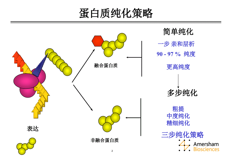 akta_层析分离技术蛋白分离protein_第2页