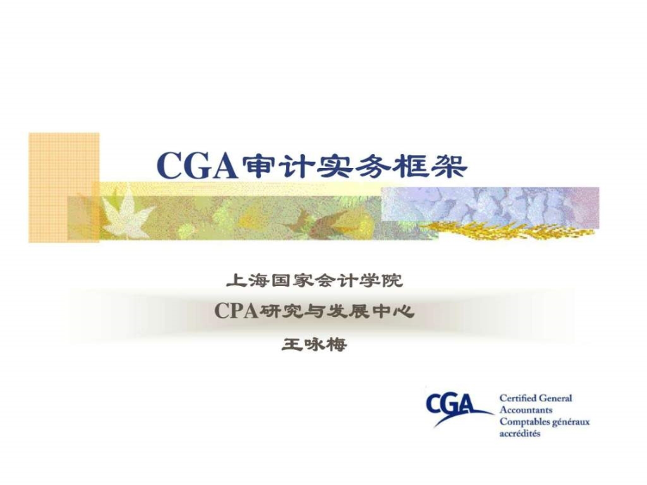 《cga审计实务框架》ppt课件_第1页