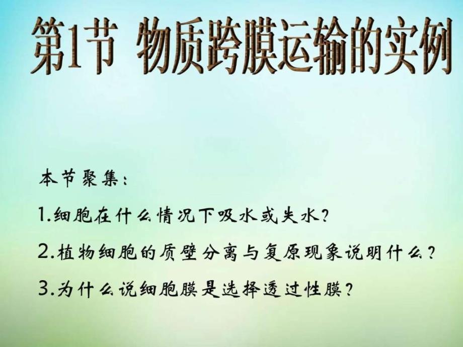 江西省安义中学高中生物 4.1物质跨膜运输的实例课件 新_第2页