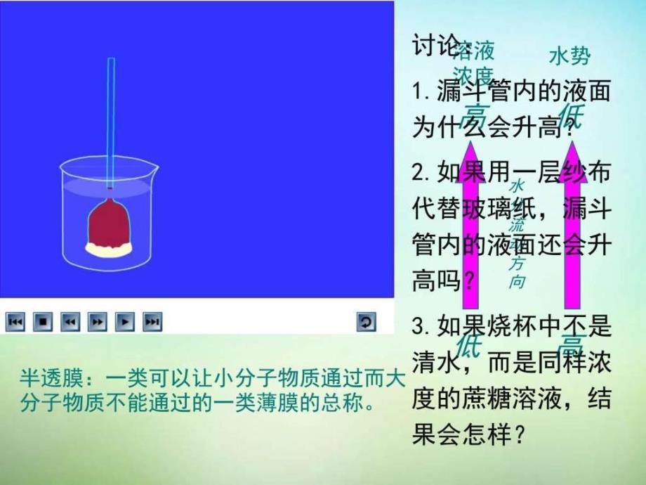 江西省安义中学高中生物 4.1物质跨膜运输的实例课件 新_第3页
