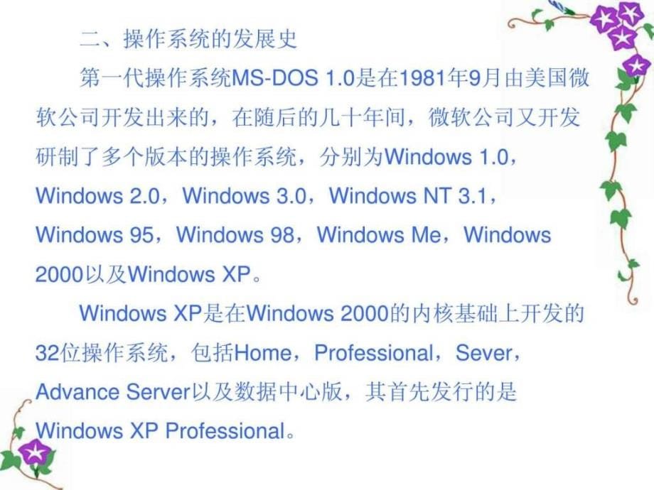 中文windows_xp操作系统第一讲_第5页