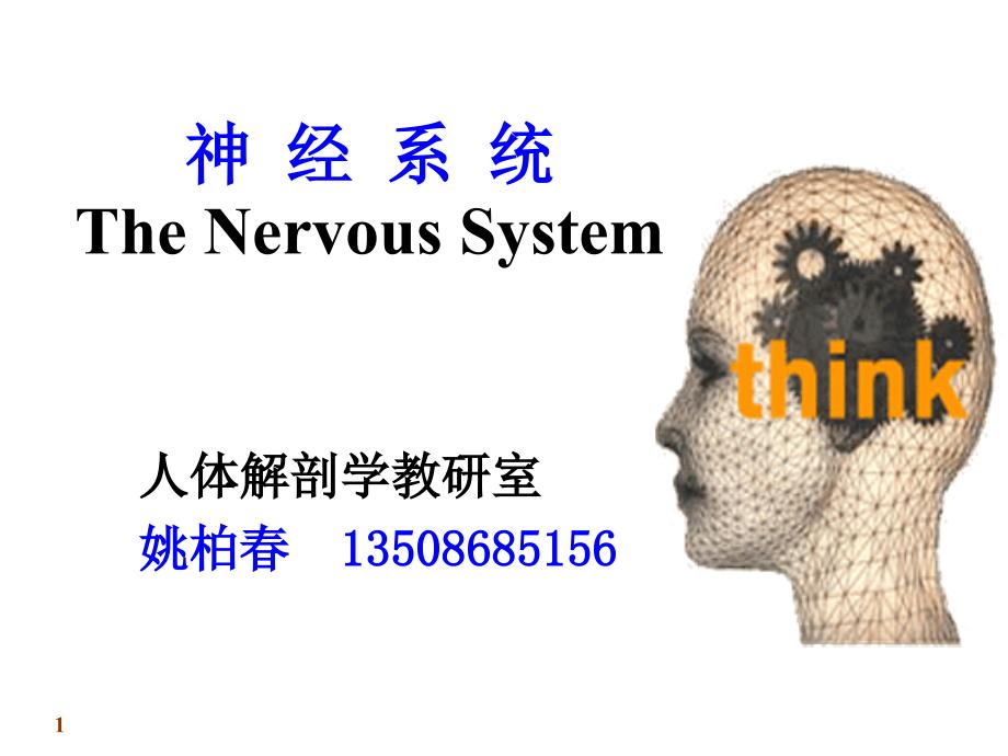 《系统解剖学》教学资料 n系总论-脊髓_第1页