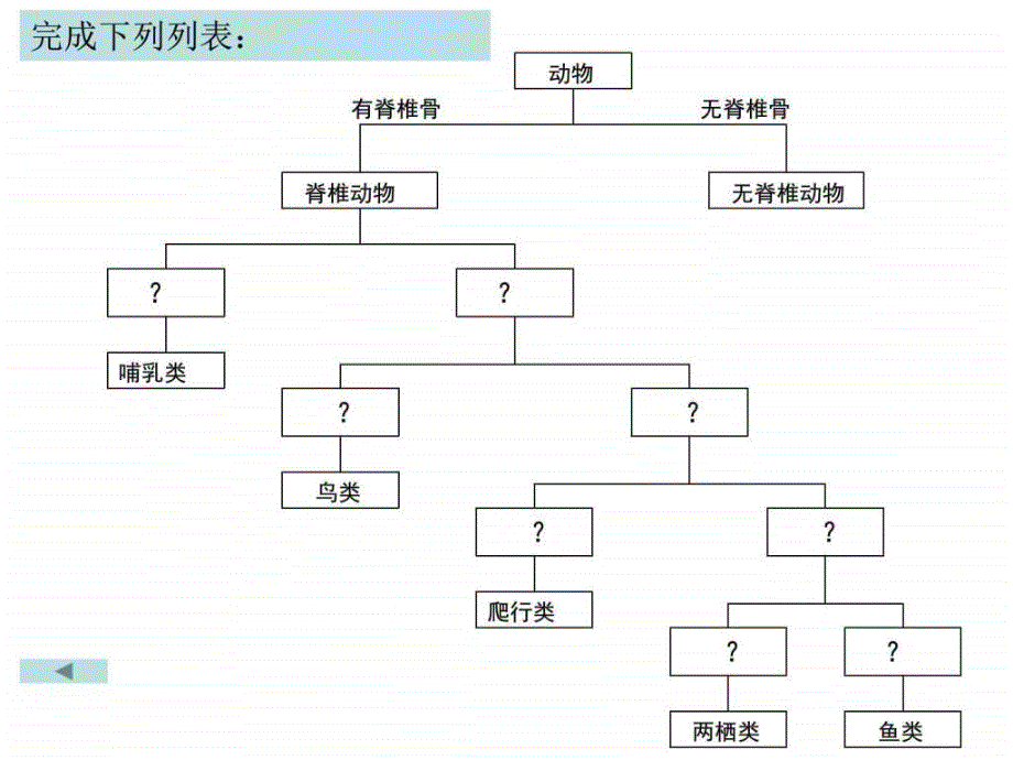 常见的动物3 浙教版_第2页