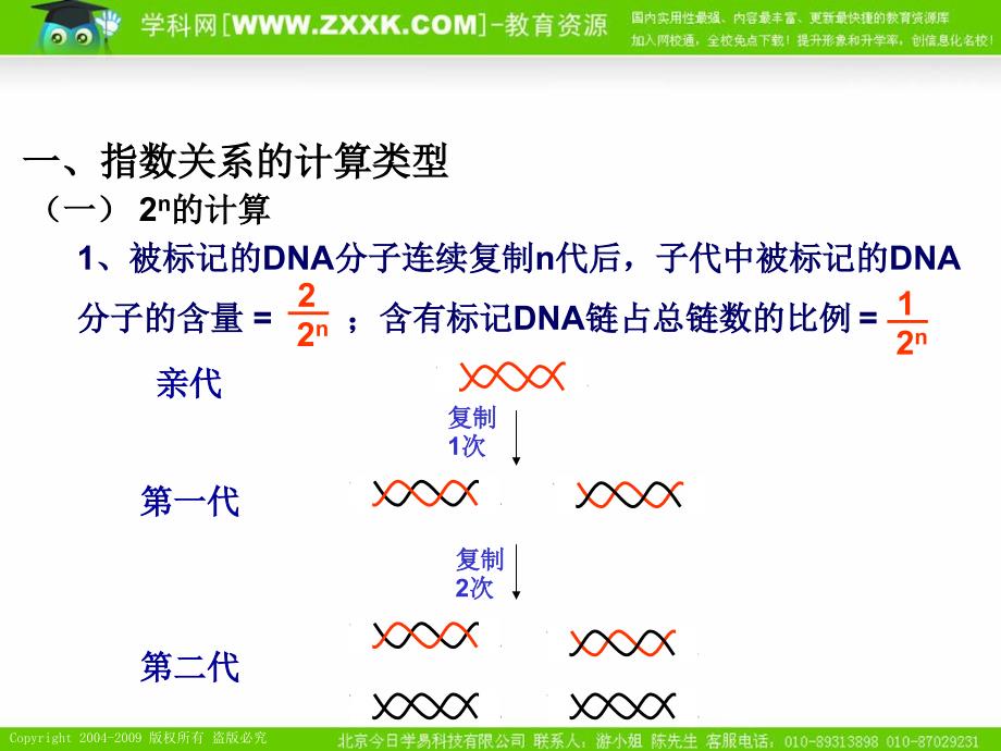 2010届高考生物专题复习课件——计算题型解题规律_第2页