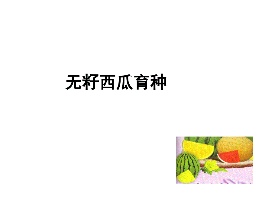 《西瓜倍性育种》ppt课件_第1页