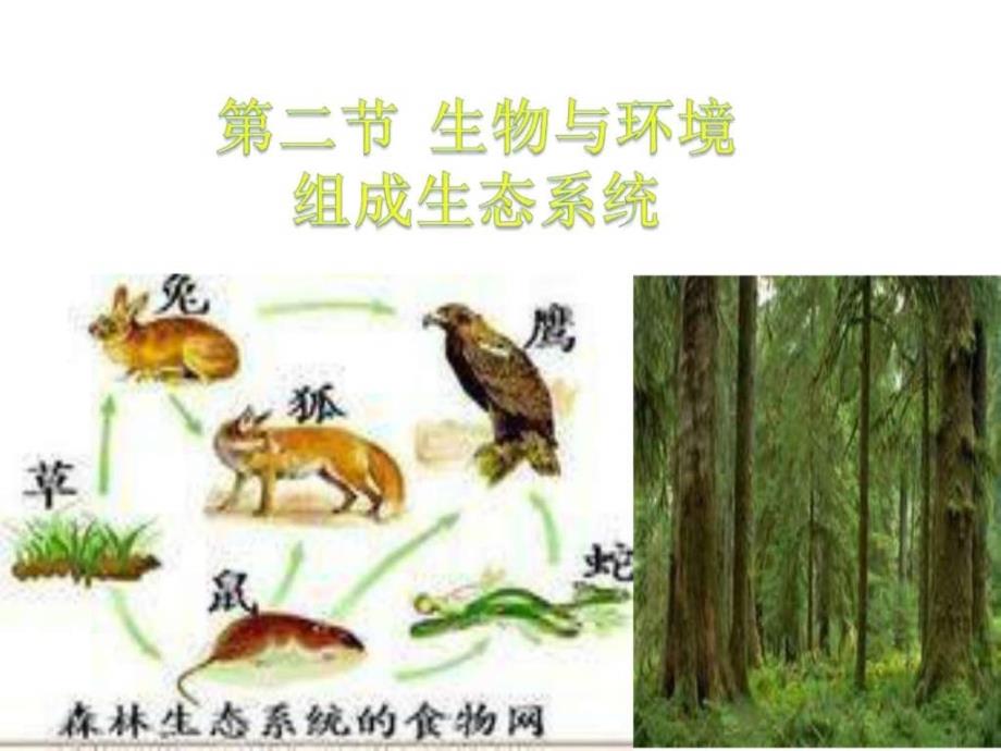 人教版七上《生物与环境组成生态系统》_第1页