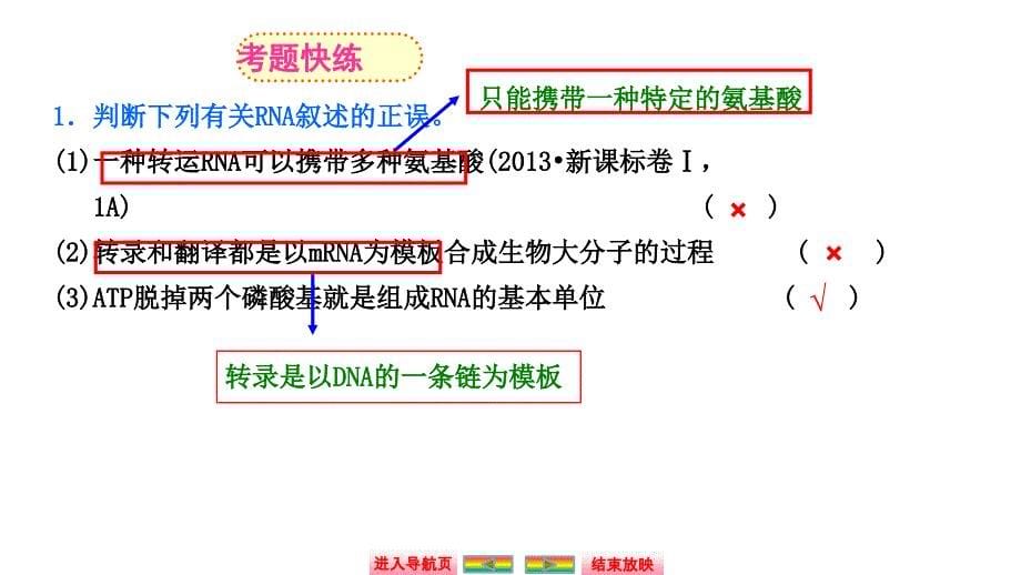 自主学习能力测评高三生物一轮复习基因表达_第5页