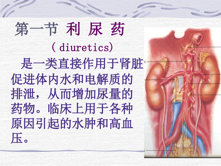 【5A版】绝对经典利尿剂大全含作用机制及副作用_第3页