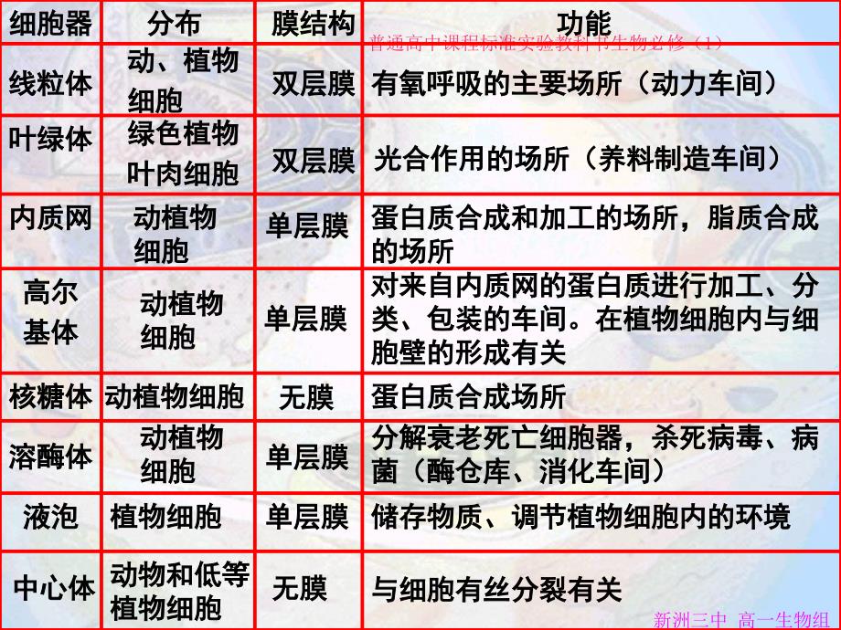 人教版教学课件细胞器——系统内的分工合作第二课时_第4页