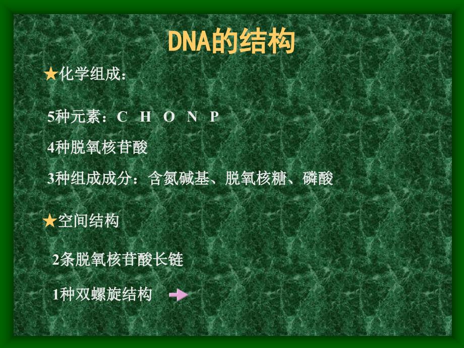 人教版高二生物DNA分子的复制教学设计_第2页