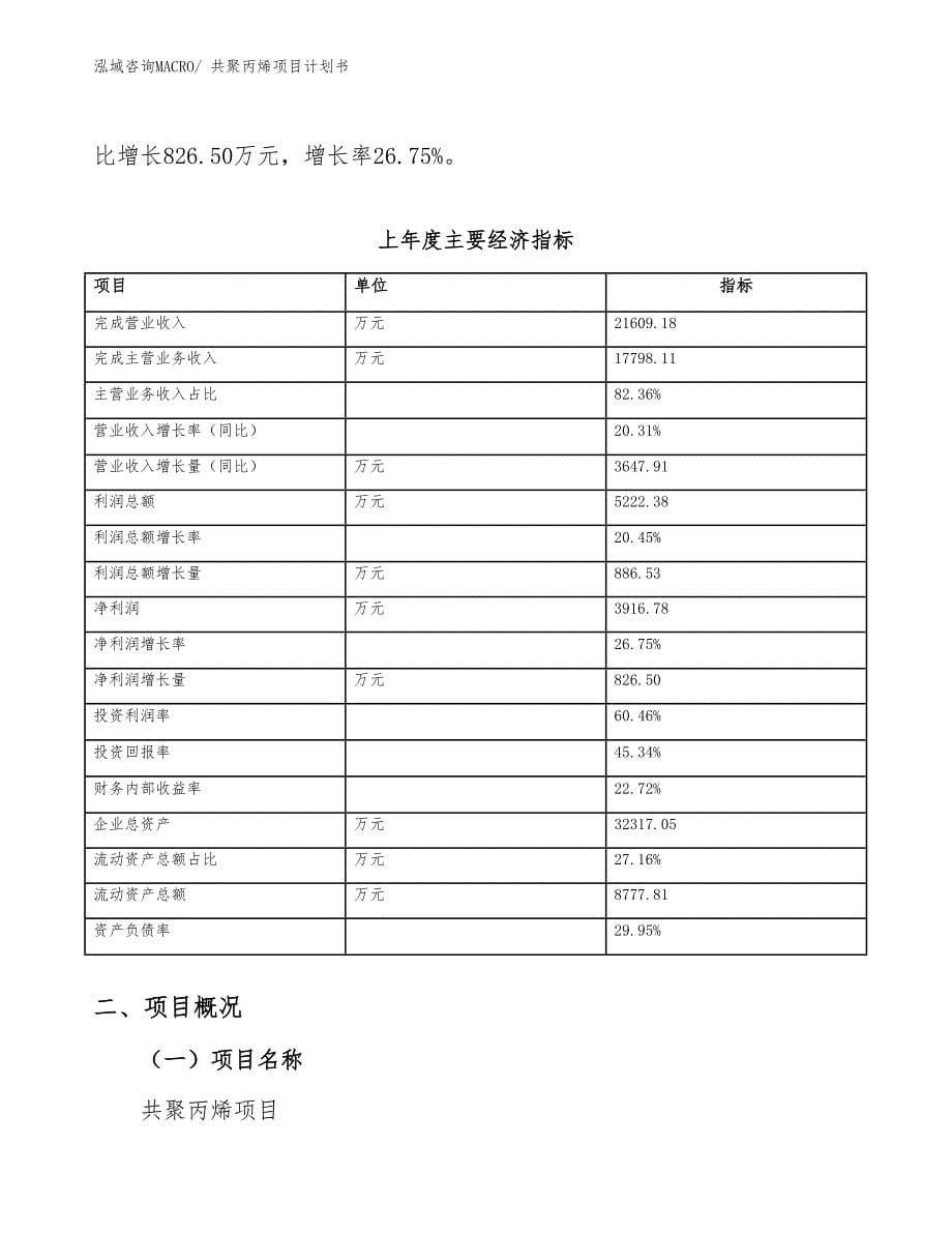 共聚丙烯项目计划书_第5页