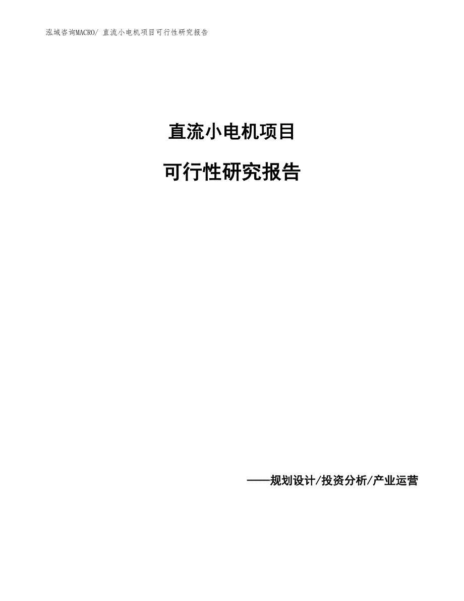 直流小电机项目可行性研究报告_第1页