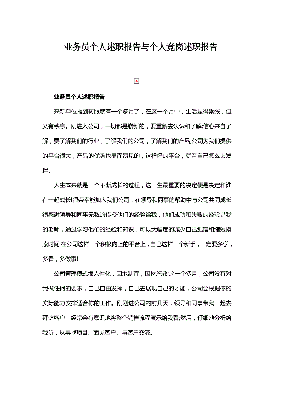 业务员个人述职报告与个人竞岗述职报告_第1页