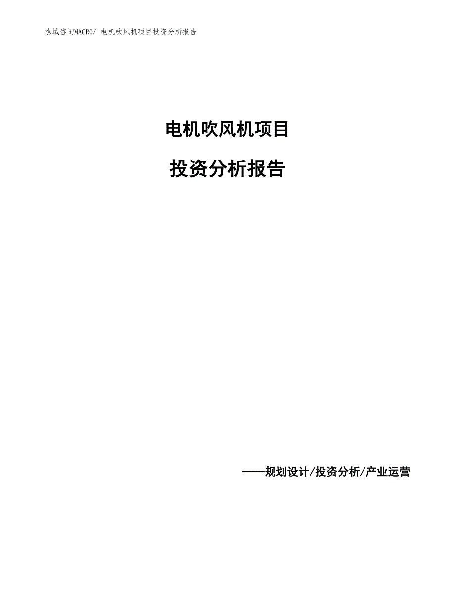 电机吹风机项目投资分析报告_第1页