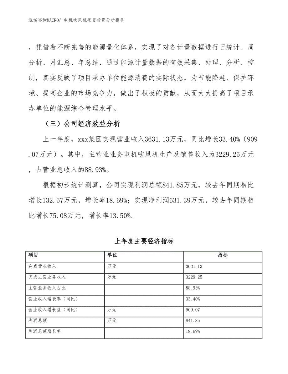 电机吹风机项目投资分析报告_第5页