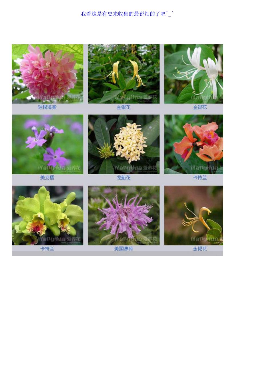 [自然科学]最常见的-花命名分类_第1页